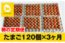 【定期便】3ヵ月連続お届け　美ら卵養鶏場の卵　各月120個