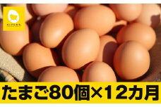 【定期便】12ヵ月連続お届け　卵の黄身が掴めるほどの新鮮さ　美ら卵養鶏場の卵　各月80個