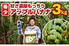 【希少】甘さ濃厚もっちりアップルバナナ3kg