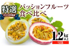 【2025年発送】特選　パッションフルーツ食べ比べ　1.2kg以上　12玉　紫色系統・黄色系統の混合