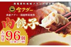 沖縄県産　金アグー　肉餃子　大容量　96個入り　12個×8パック