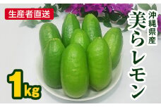 生産者直送　沖縄県産美らレモン1kg　種なし