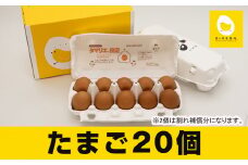 卵の黄身が掴めるほどの新鮮さ　美ら卵養鶏場の卵【20個入り】