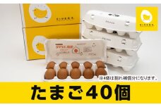 卵の黄身が掴めるほどの新鮮さ　美ら卵養鶏場の卵【40個入り】