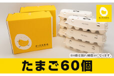 卵の黄身が掴めるほどの新鮮さ　美ら卵養鶏場の卵【60個入り】