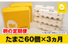 【定期便】3ヵ月連続お届け　美ら卵養鶏場の卵　各月60個