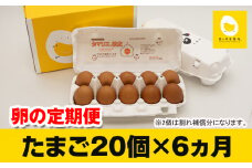 【定期便】6ヵ月連続お届け　美ら卵養鶏場の卵　各月20個