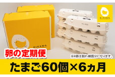 【定期便】6ヵ月連続お届け　美ら卵養鶏場の卵　各月60個