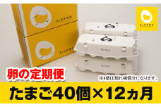 【定期便】12ヵ月連続お届け　美ら卵養鶏場の卵　各月40個