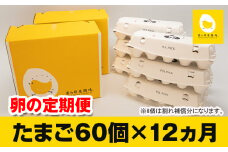 【定期便】12ヵ月連続お届け　美ら卵養鶏場の卵　各月60個