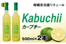 【琉球泡盛】瑞泉酒造　カーブチー　500ml×2本　10%　柑橘系泡盛リキュール
