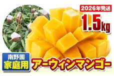 【2026年発送】南野園　家庭用　アーウィンマンゴー1.5kg