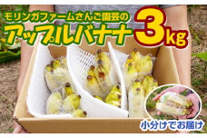 【小分け】モリンガファームさんご園芸のアップルバナナ3kg