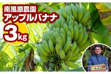 南風原農園　アップルバナナ　3kg