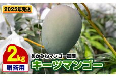 【2025年発送】あかみねマンゴー農園　贈答用キーツマンゴー2kg