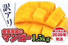 【訳あり】2026年発送　金城農園のマンゴー1.5kg