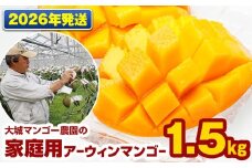 【2026年発送】大城マンゴー農園の家庭用アーウィンマンゴー1.5kg