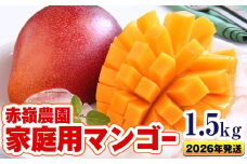 【2026年発送】赤嶺農園家庭用マンゴー1.5kg