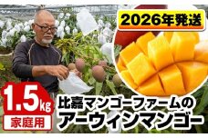 【2026年発送】比嘉マンゴーファームのアーウィンマンゴー　家庭用1.5kg