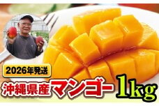 【2026年発送】濃厚な甘さ！とろける食感！沖縄県産マンゴー1kg
