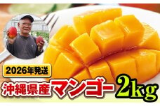 【2026年発送】濃厚な甘さ！とろける食感！沖縄県産マンゴー2kg