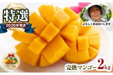【2026年発送】特選　沖縄はえばるフルーツ市場　完熟マンゴー2kg