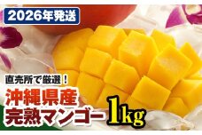 【2026年発送】直売所で厳選　沖縄県産「完熟マンゴー」1kg
