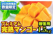 【2026年発送】数量限定！プレミアム完熟マンゴー1.5kg　贈答用