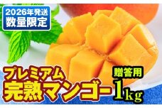 【2026年発送】数量限定！プレミアム完熟マンゴー1kg　贈答用
