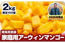 【2026年発送】南風原農園　家庭用アーウィンマンゴー2kg