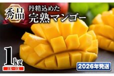 【2026年発送】「秀品」丹精込めた完熟マンゴー1kg　2玉～3玉