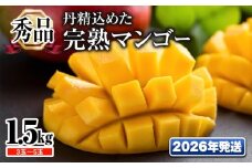 【2026年発送】「秀品」丹精込めた完熟マンゴー1.5kg　3玉～5玉