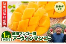 【2026年発送】城間マンゴー園　家庭用　アーウィンマンゴー1kg　特別栽培農産物