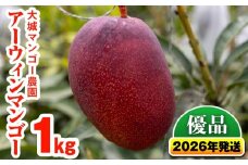 【2026年発送】大城マンゴー農園のアーウィンマンゴー（優品）1kg
