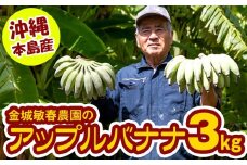 【沖縄本島産】金城敏春農園の「アップルバナナ」　3kg