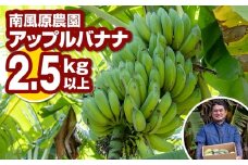 南風原農園　アップルバナナ　2.5kg以上