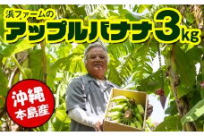 【沖縄本島産】浜ファームの「アップルバナナ」　3kg