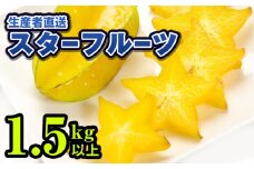 【2026年2月から順次発送】生産者直送スターフルーツ　1.5kg以上