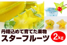 【2026年1月から順次発送】丹精込めて育てた果物　スターフルーツ　2kg