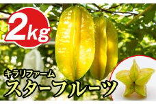 【2025年11月から順次発送】キラリファーム　スターフルーツ　2kg
