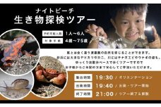 ガイドツアー ナイトビーチ 生き物探検ツアー 渡嘉敷島 約1.5時間コース
