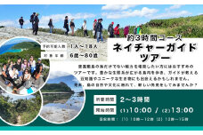 自然体験 ネイチャーガイドツアー（ハイキング）渡嘉敷島・約3時間コース