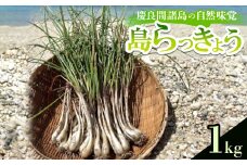 慶良間諸島の自然味覚 島らっきょう 1kg【1625152】