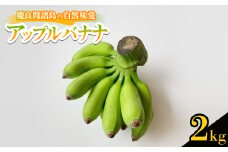 ＜2025年7月から順次発送＞慶良間諸島の自然味覚 アップルバナナ 2kg【1625154】