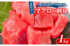 慶良間諸島の自然味覚 座間味村産のマグロの刺身 1kg(2～3柵)【1625436】