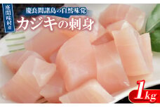 慶良間諸島の自然味覚 座間味村産のカジキの刺身 1kg(2～3柵)【1625438】