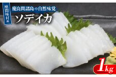 慶良間諸島の自然味覚 座間味村産のソデイカ 1kg(2～3柵)【1625441】