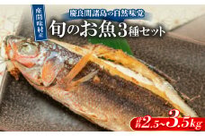 慶良間諸島の自然味覚 旬のお魚3種セット【1625450】