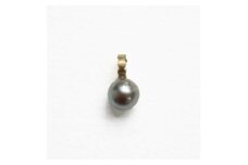 kerama pearl × marumaru charm top / K18 T-27【1638804】