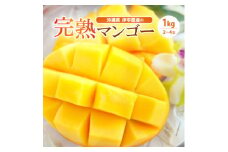 ＜2025年7月～8月頃発送予定＞伊平屋産の完熟マンゴー1kg【1497027】